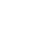 pdf icon